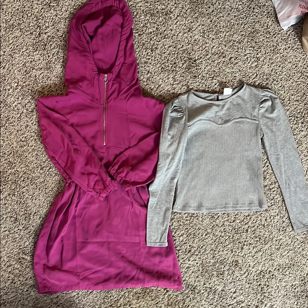 Pink Hooded Dress and Gray Long Sleeve Top
